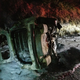 Image for article titled Clumsy bear falls on police car, causes highway fire, flees the scene